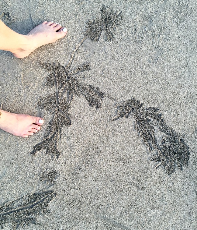 Abstract art by the sand crabs. 