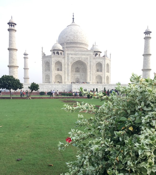 Looking very white in the early morning haze.