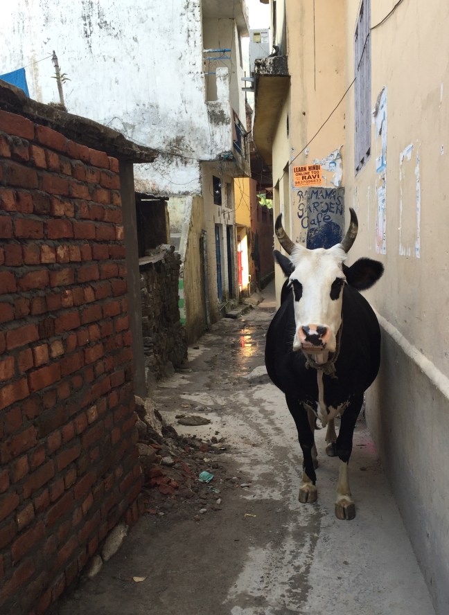 One of my neighbors.