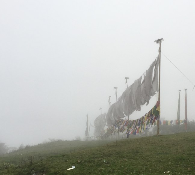 Flags in the fog.