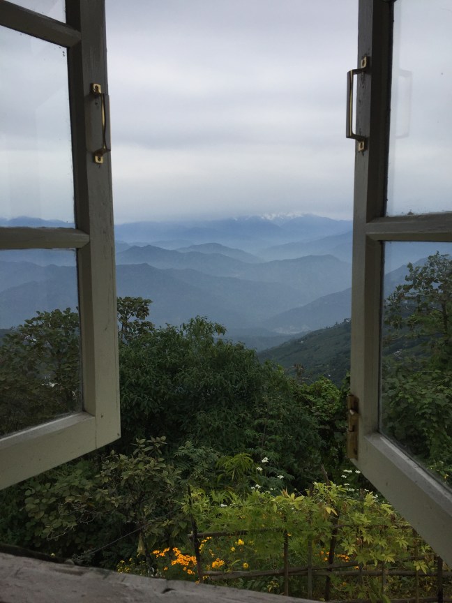 Goodbye to a beautiful view.