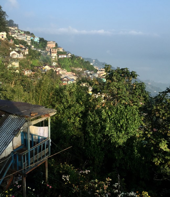 The neighborhood view from my window.