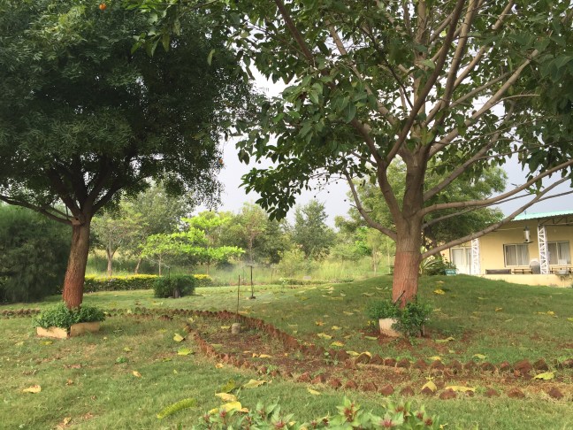 The area surrounding the dining hall.