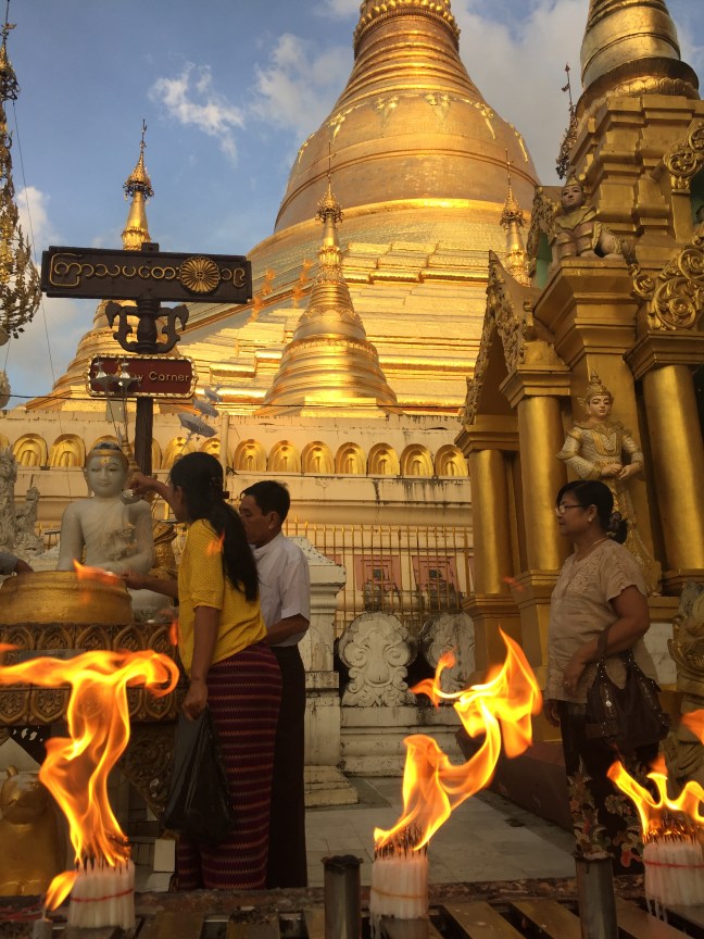 Shades of shimmering gold. 