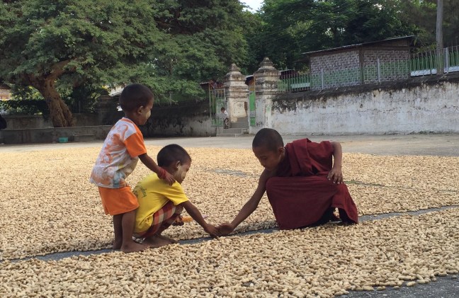 Playing amongst piles of drying peanuts. 