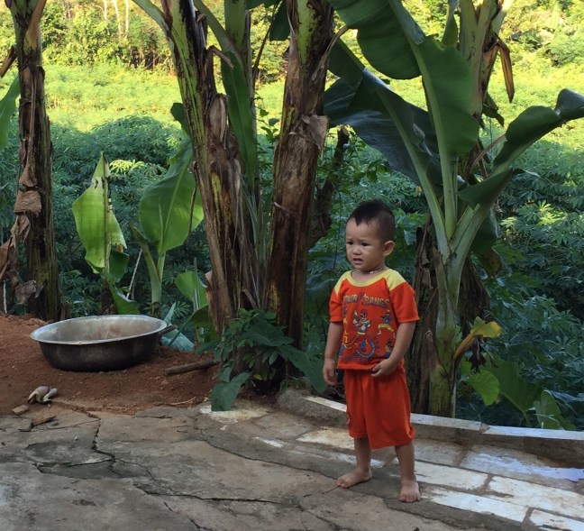 She got him up out of the hammock to come watch, or perhaps learn? If you ask me, he seems as horrified as I was.