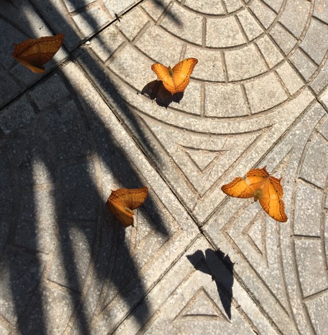 Such simplicity and yet so pretty.