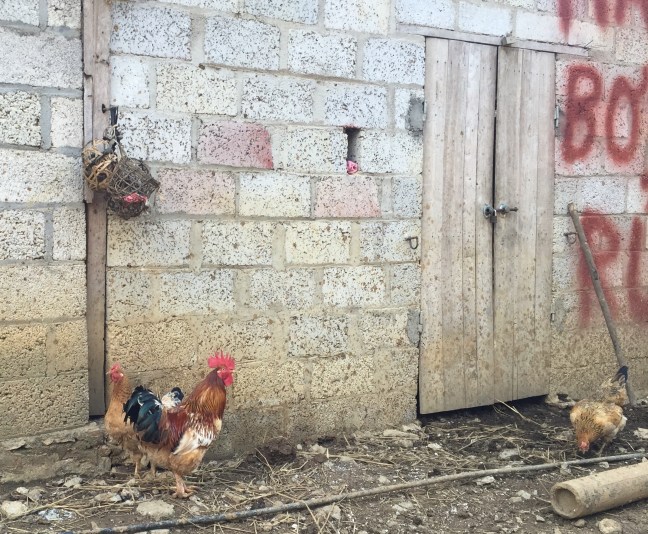 He's safe, for now anyway. 