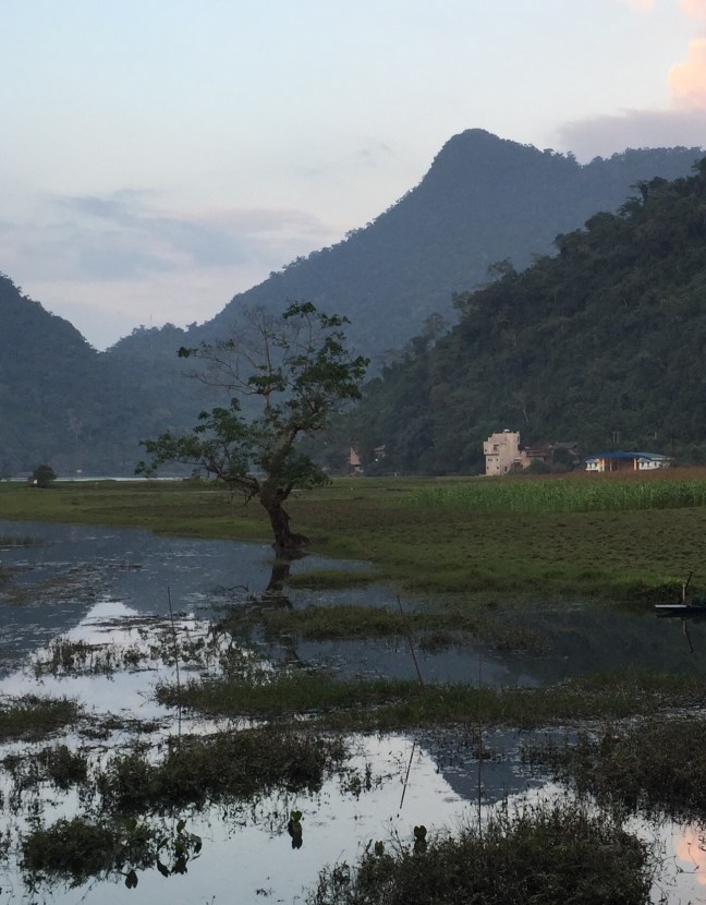 Dusk view from the homestay. Magical. 