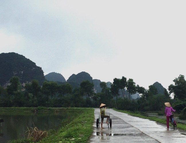 Roadside in front of my lodge.