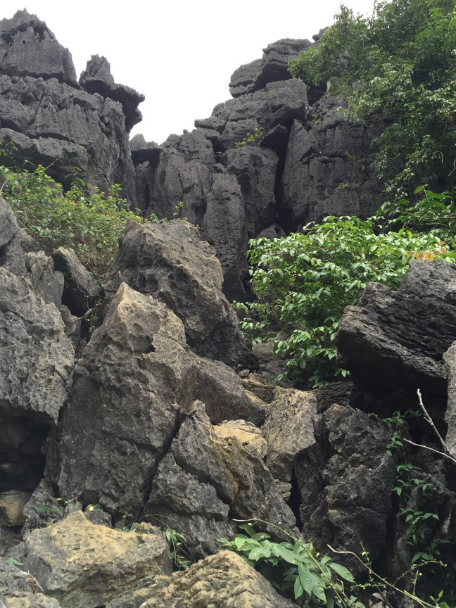 "Climb". Yes, that's the path.