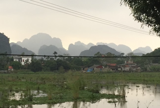 I love this place. I really do.