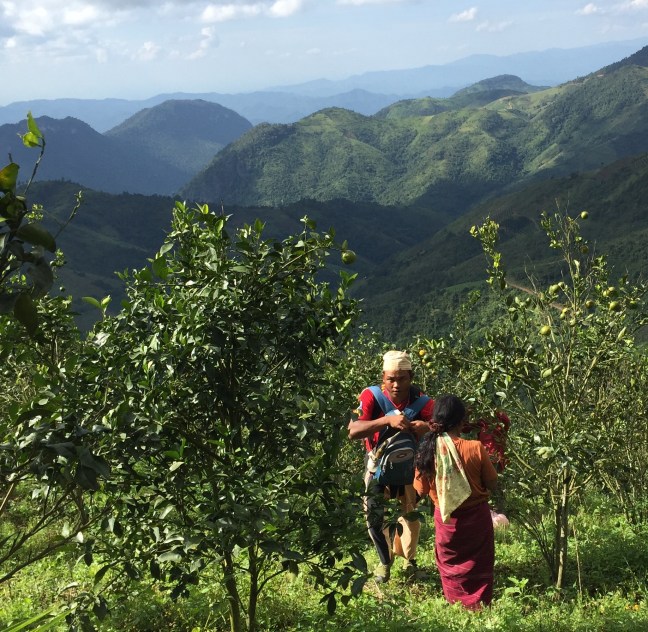 Our awesome guide, buying fresh oranges off the tree for his family. 