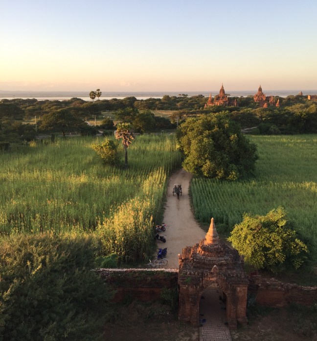 The road leading to tonight's viewing post.