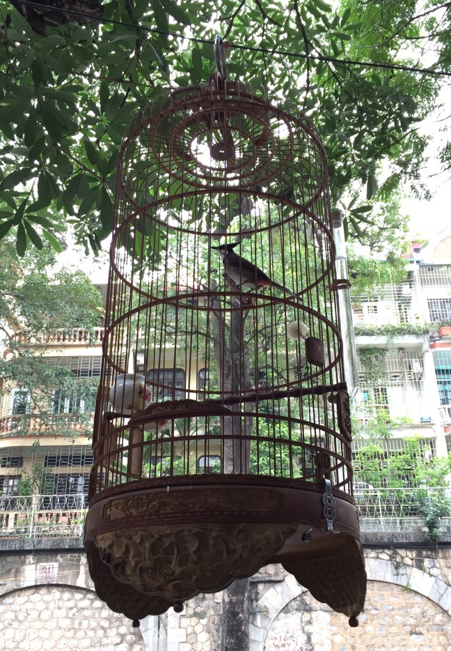 Birdcages adorn practically every doorway or business entryway. For luck, for show, and sometimes for sale. Often, because they hung so high, you heard them before you saw them... and often it was an incredibly sweet song they sang. 