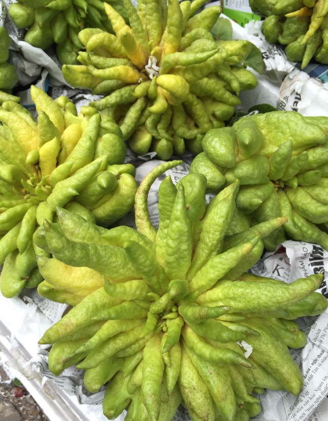 Buddha's hand, as it's known.