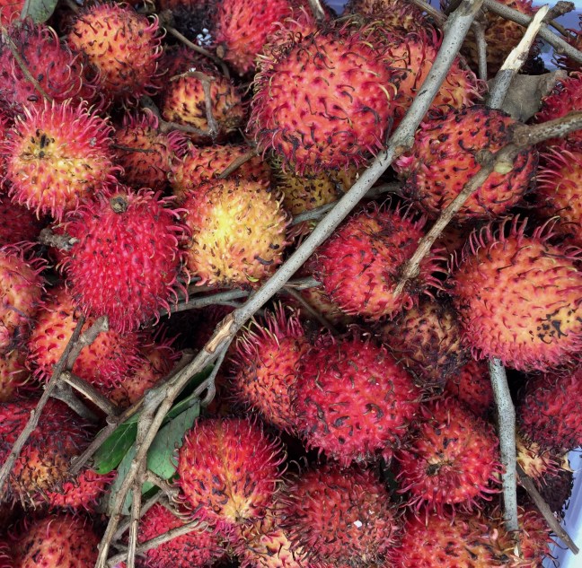 Lychee.