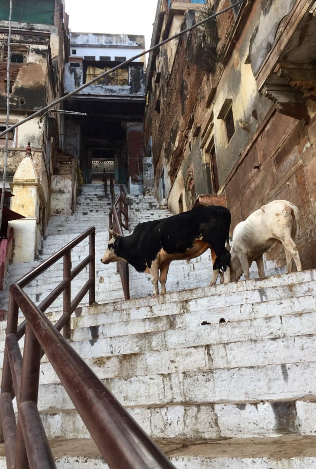 Gatekeepers of this stairwell