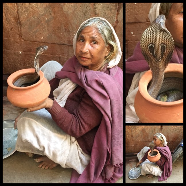 One of the local snake charmers