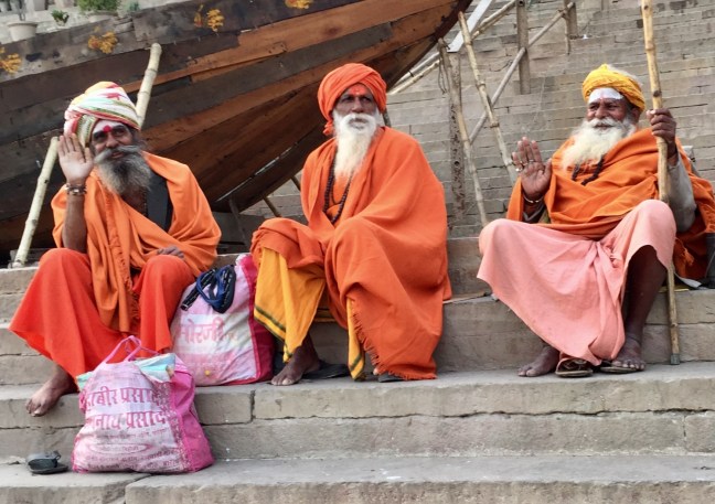 I think they enjoy watching us as much as we enjoy watching them